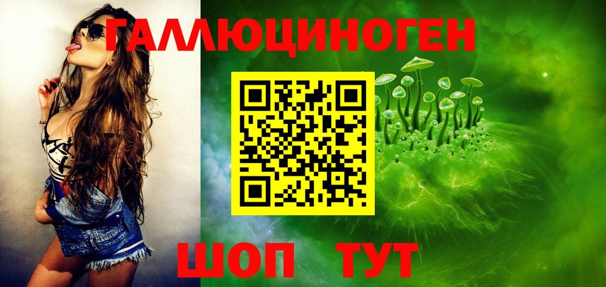 Крымск  Галлюциногенные грибы прущие грибы  Вход с VPN 